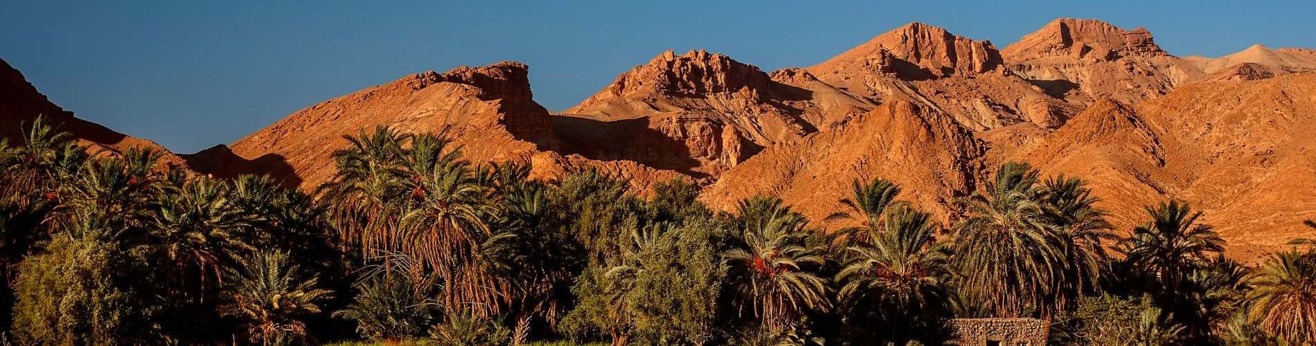 bureau-international-my-french-degree-tunisie bureau-international-my-french-degree-tunisie