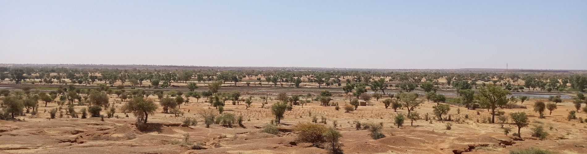 my-french-degree-admissions-niger