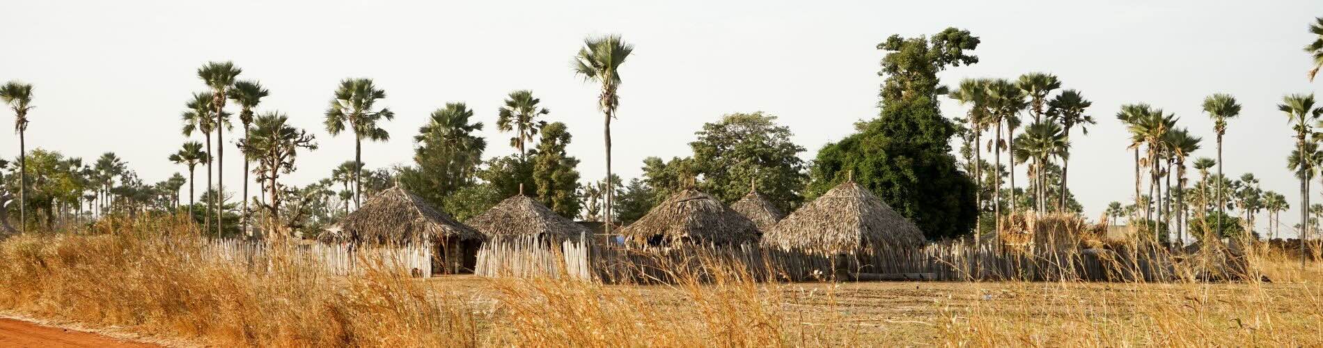 my-french-degree-admissions-senegal