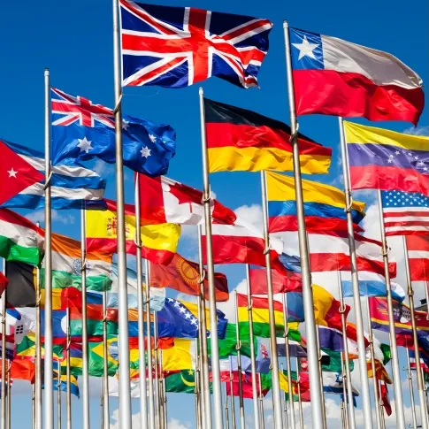 bachelor-business-international-1ere-annee-my-french-degree-france