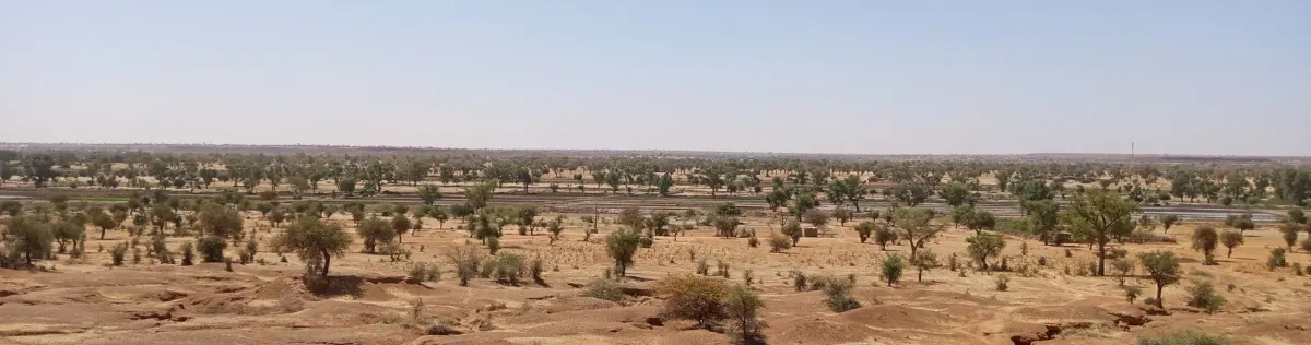 my-french-degree-admissions-niger