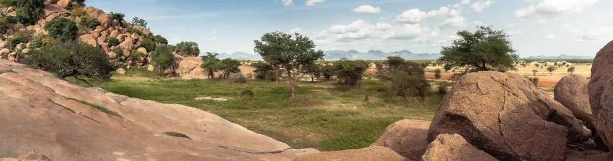 my-french-degree-admissions-tchad